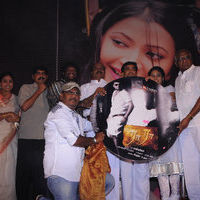 Ra Ra Audio Launch | Picture 43043